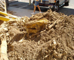 Apartment Foundation Investigation and Repair